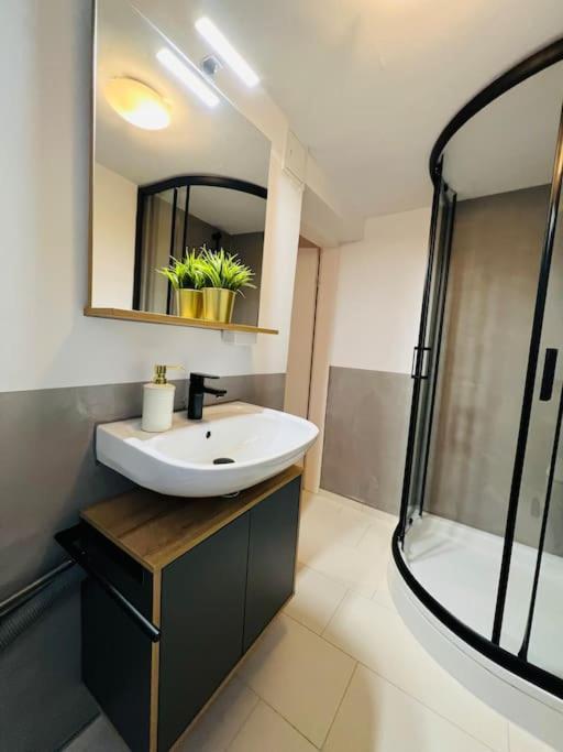 Apartment Rheingold Σβάμπαχ Εξωτερικό φωτογραφία